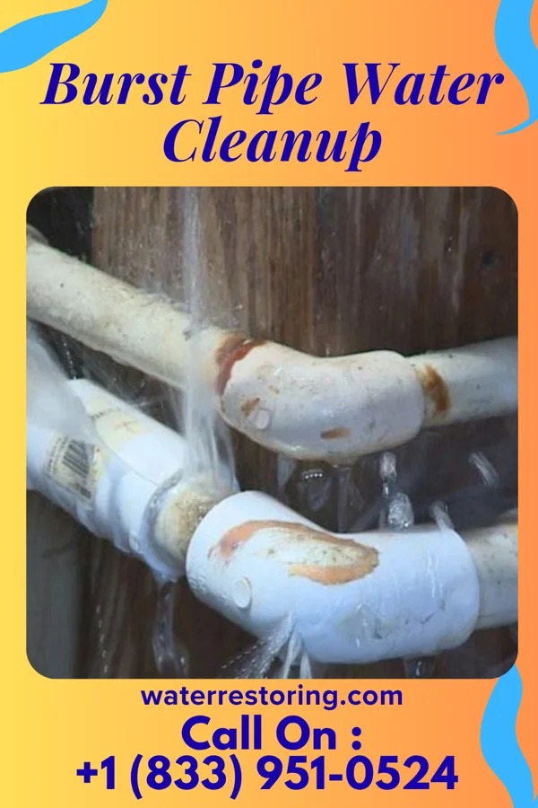Burst Pipe Water Cleanup in Shortsville, NY