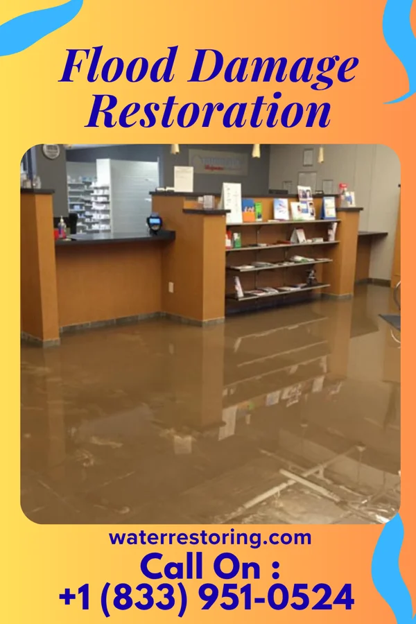 Flood Damage Restoration in Shortsville, NY