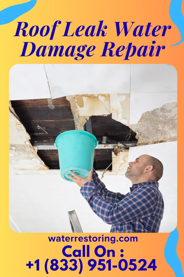 Roof Leak Water Damage Repair in Shortsville, NY