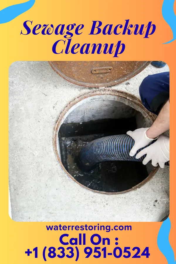 Sewage Backup Cleanup in Shortsville, NY