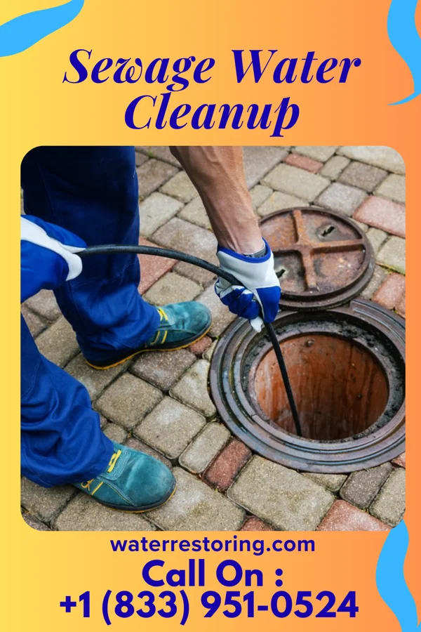 Sewage Water Cleanup in Shortsville, NY