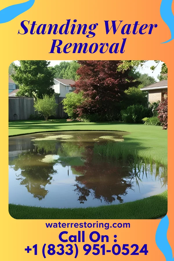 Standing Water Removal in Shortsville, NY